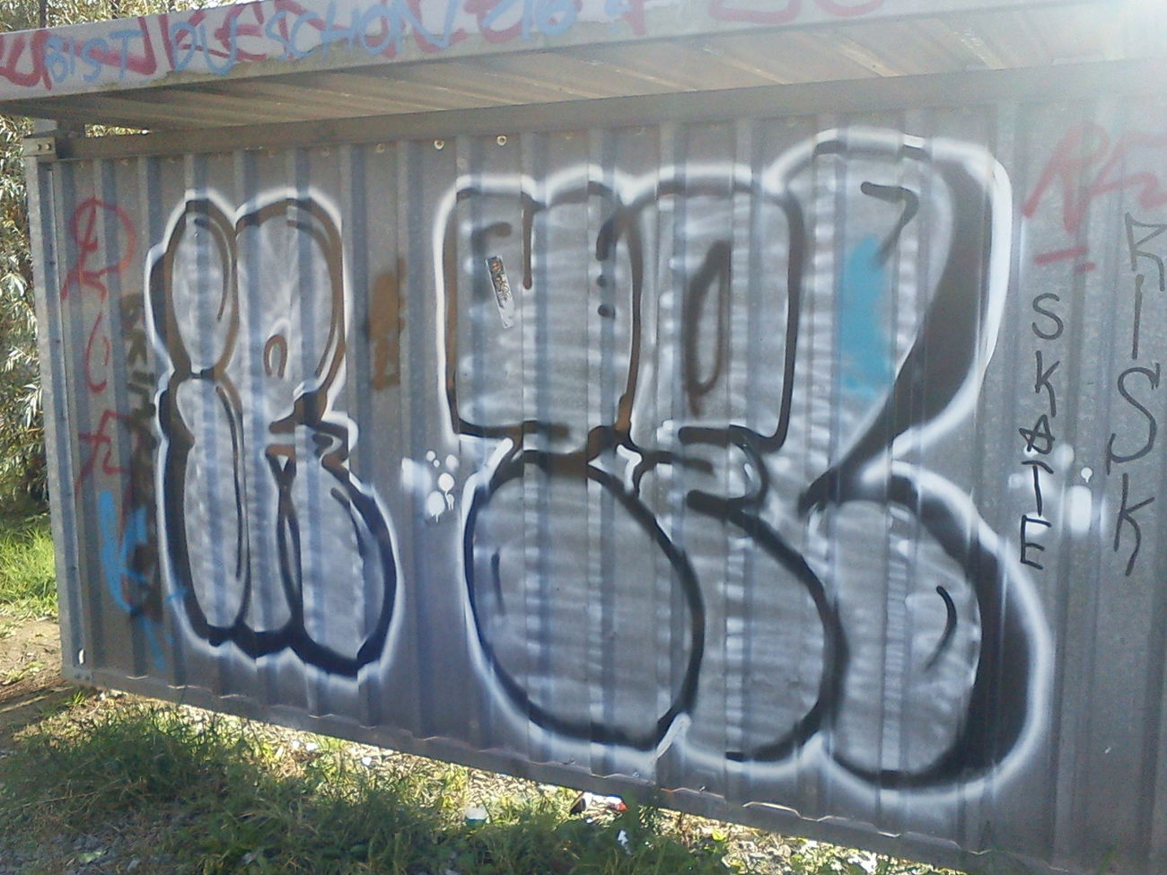 Graffiti Bombing - Photo by DerKoeter - ir, zel, irone