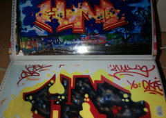 Photo #231013 by TheWallHunter