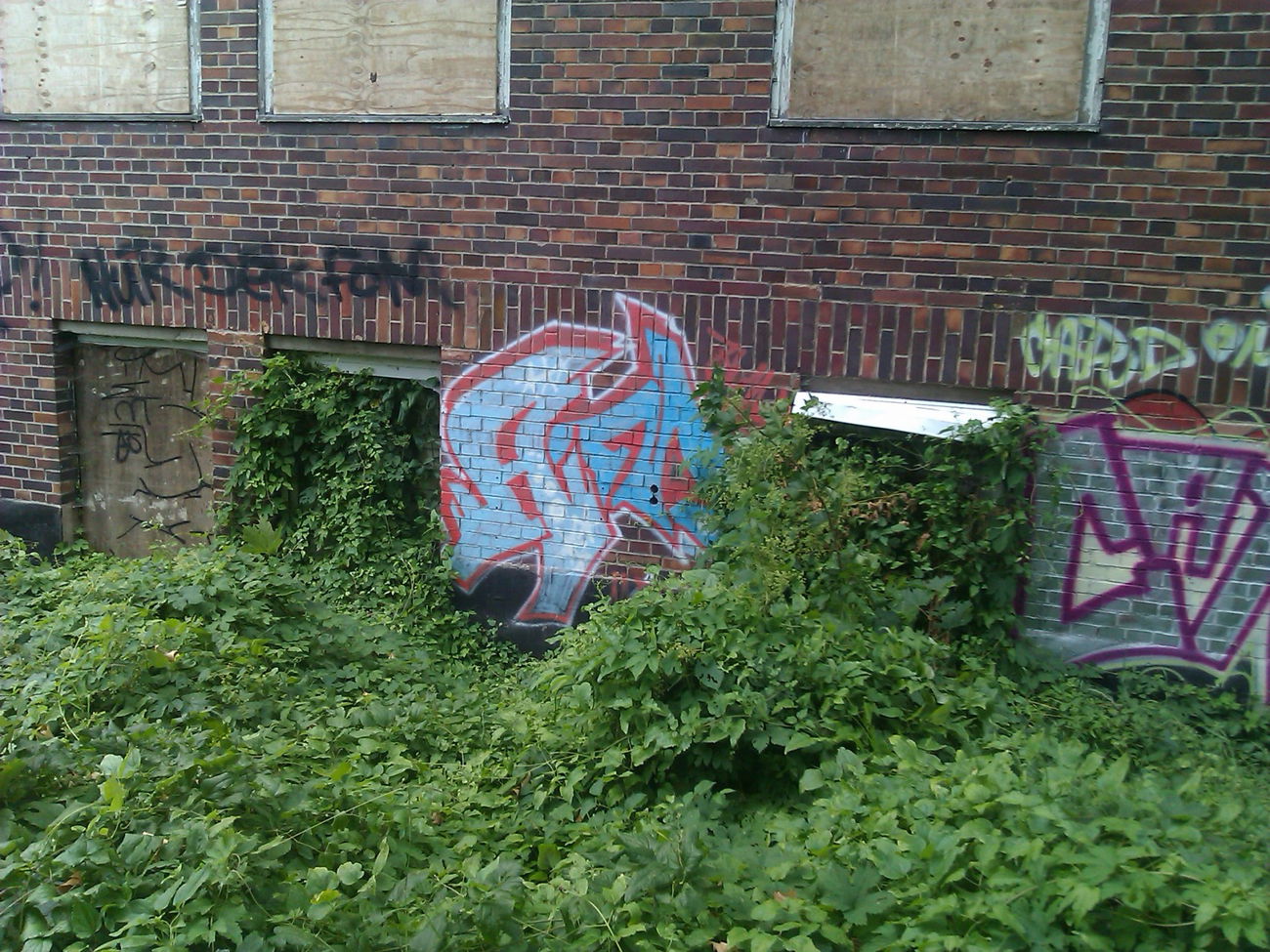 Graffiti Bombing - Photo by DerKoeter - magdeburg, aim