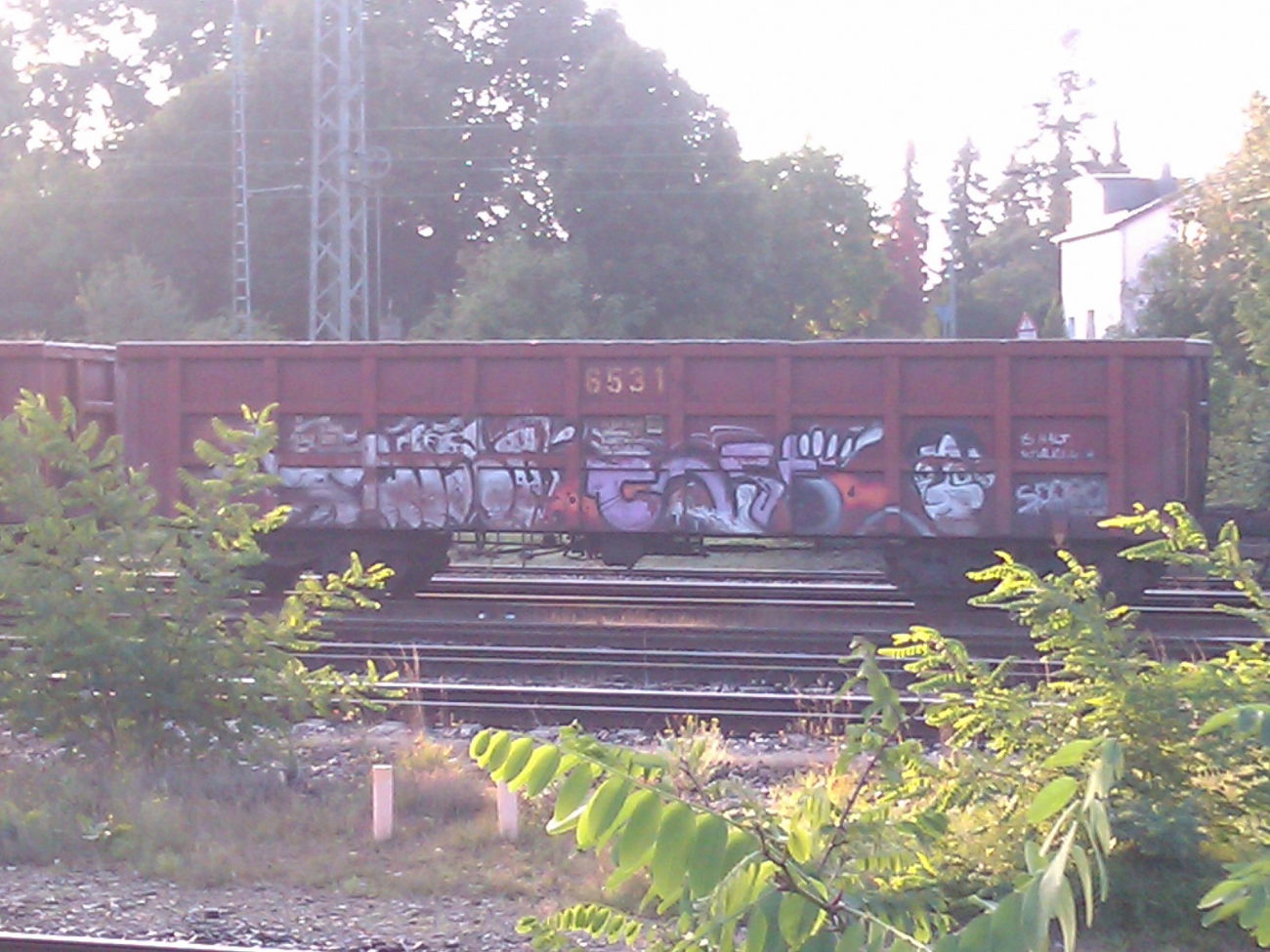 Graffiti Train - Photo by DerKoeter - cargo, helmstedt