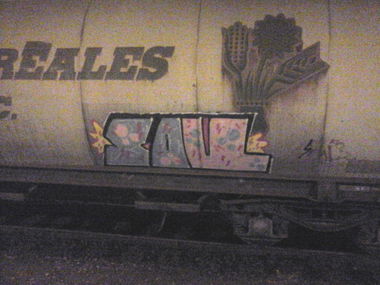 Graffiti Train - Photo by DerKoeter - soul, cargo, helmstedt