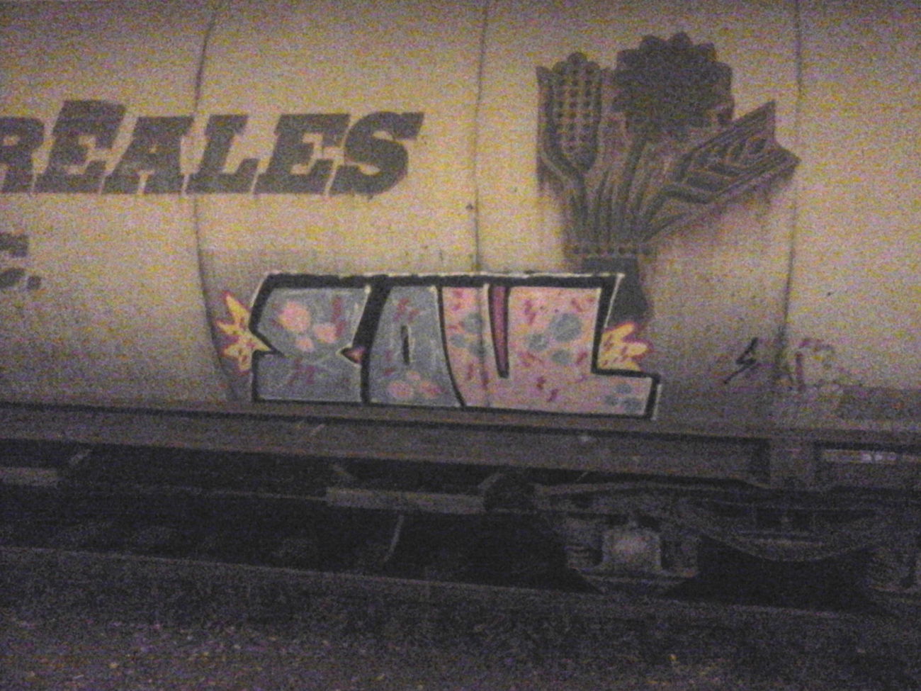 Graffiti Train - Photo by DerKoeter - soul, cargo, helmstedt
