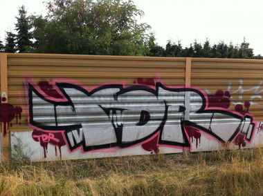 Graffiti Bombing - Photo by DerUrzornige