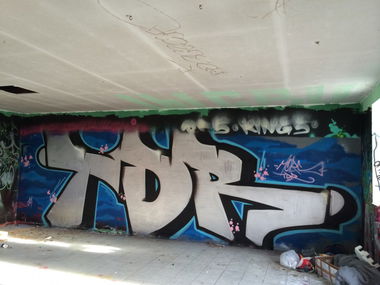 Graffiti Bombing - Photo by DerUrzornige