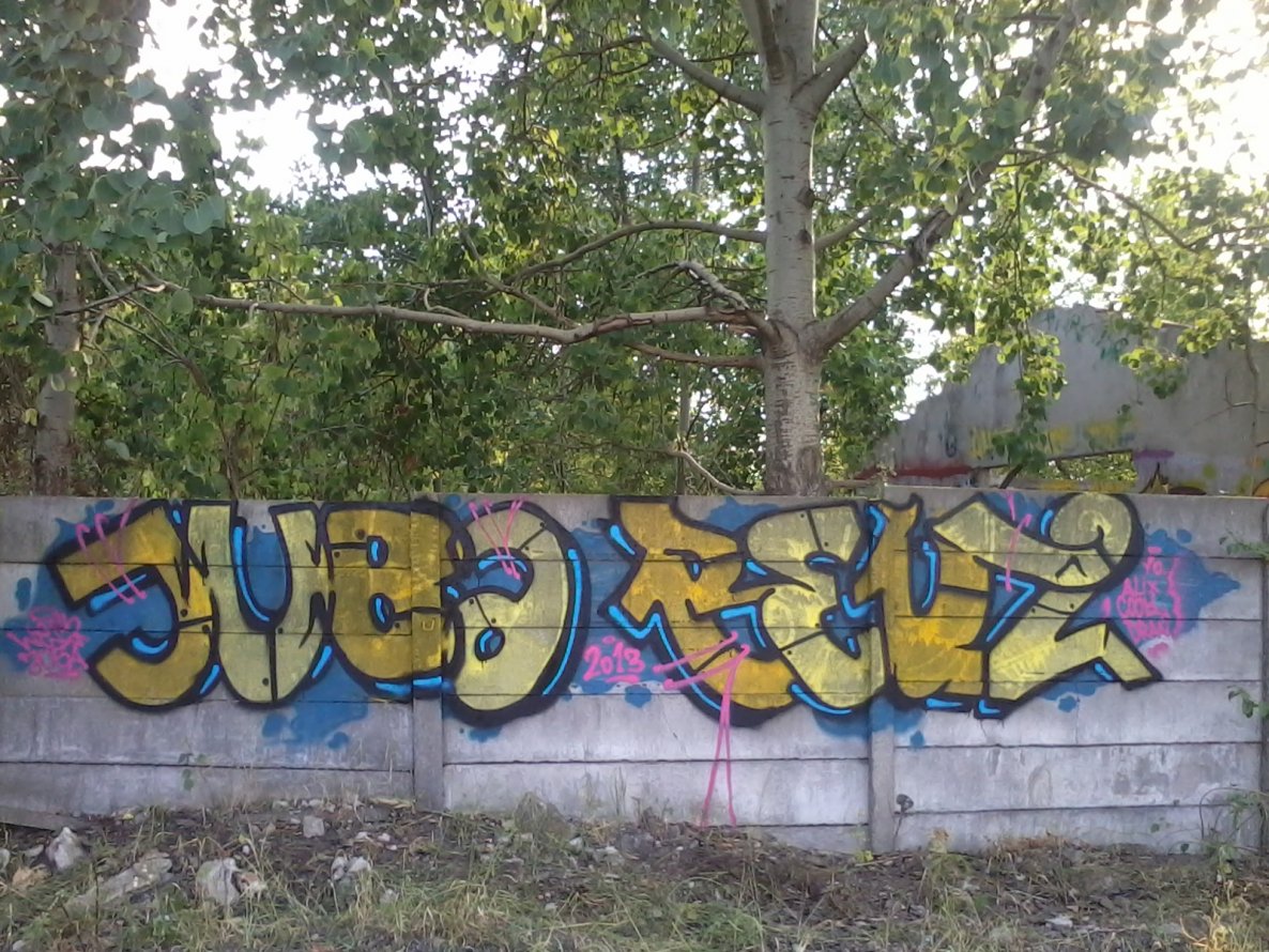 Graffiti Wall - Photo by Des2 - Juba, Beuz (2013)