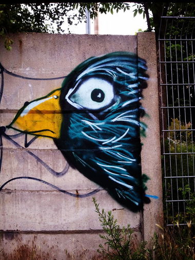 Graffiti Bombing in Delitzsch - Photo by DesignPille - PiepMatz (2013)