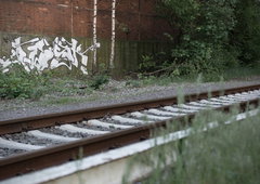 Photo #113934 by Mustard42