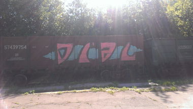 Graffiti Train in Moscow - Photo by Dial - dial (2013)