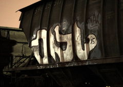 Photo #172785 by Coler