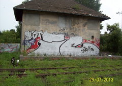 Photo #20595 by faryzeusz