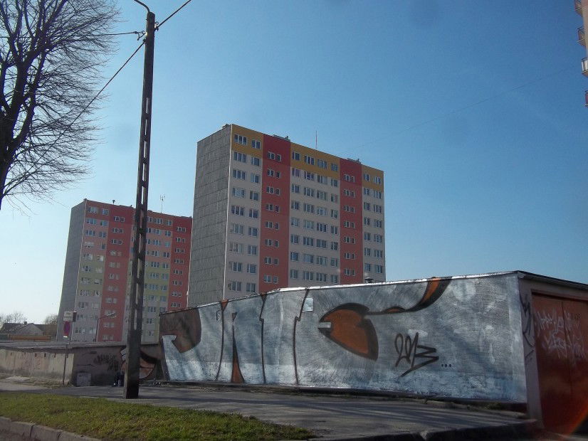 Graffiti Bombing - Photo by Dicit - DICIT*LATE*IC*CREW (2013)