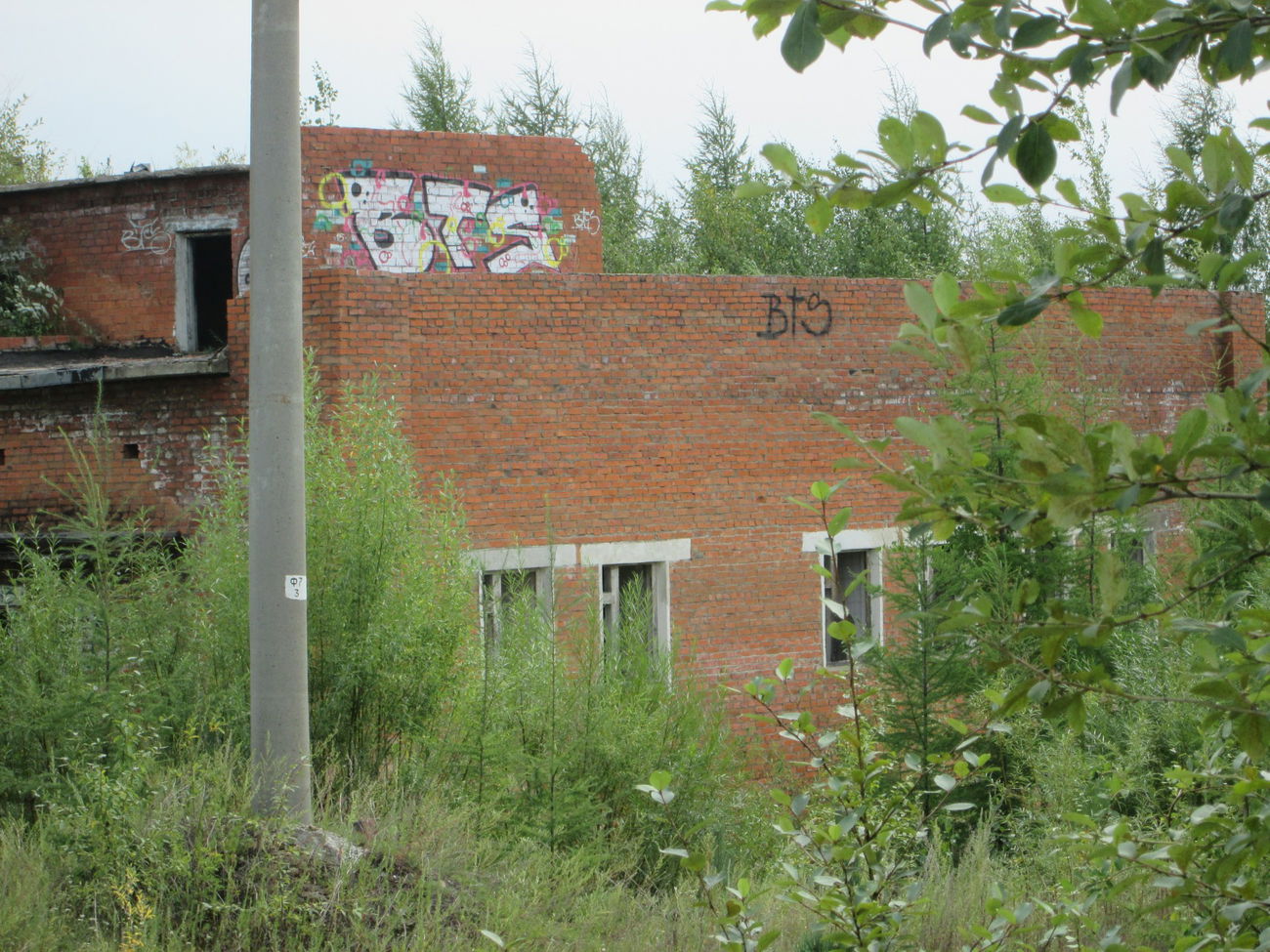 Graffiti Bombing in Larba - Photo by DieKeule - BTS, Dr.Hoez, Russia (2015)