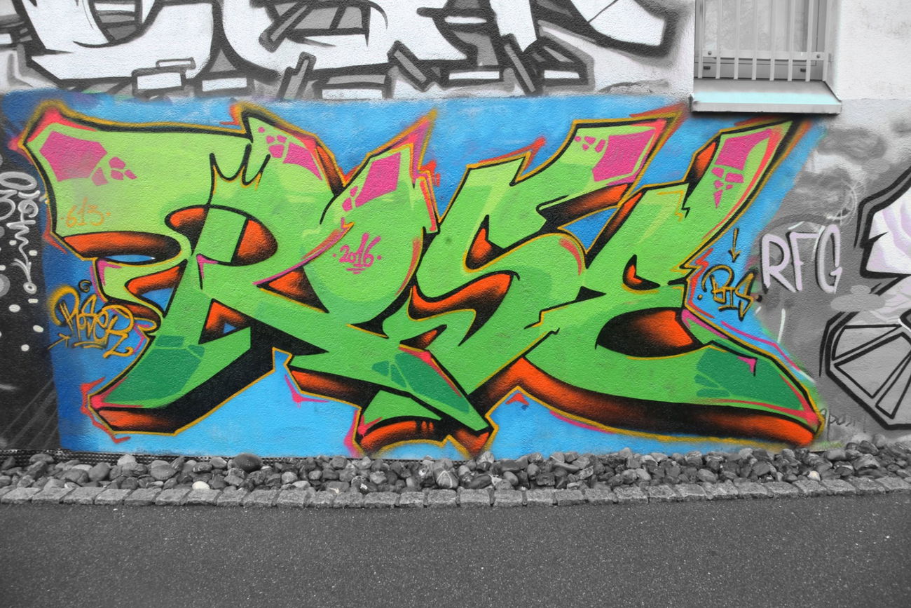 Graffiti Wall in Balingen - Photo by DieKeule - Rose, BTS (2016)