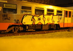 Photo #86319 by TagHagel