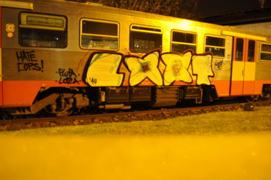 Graffiti Train - Photo by DieLootars - Loot, Fluter, Fluta (2014)
