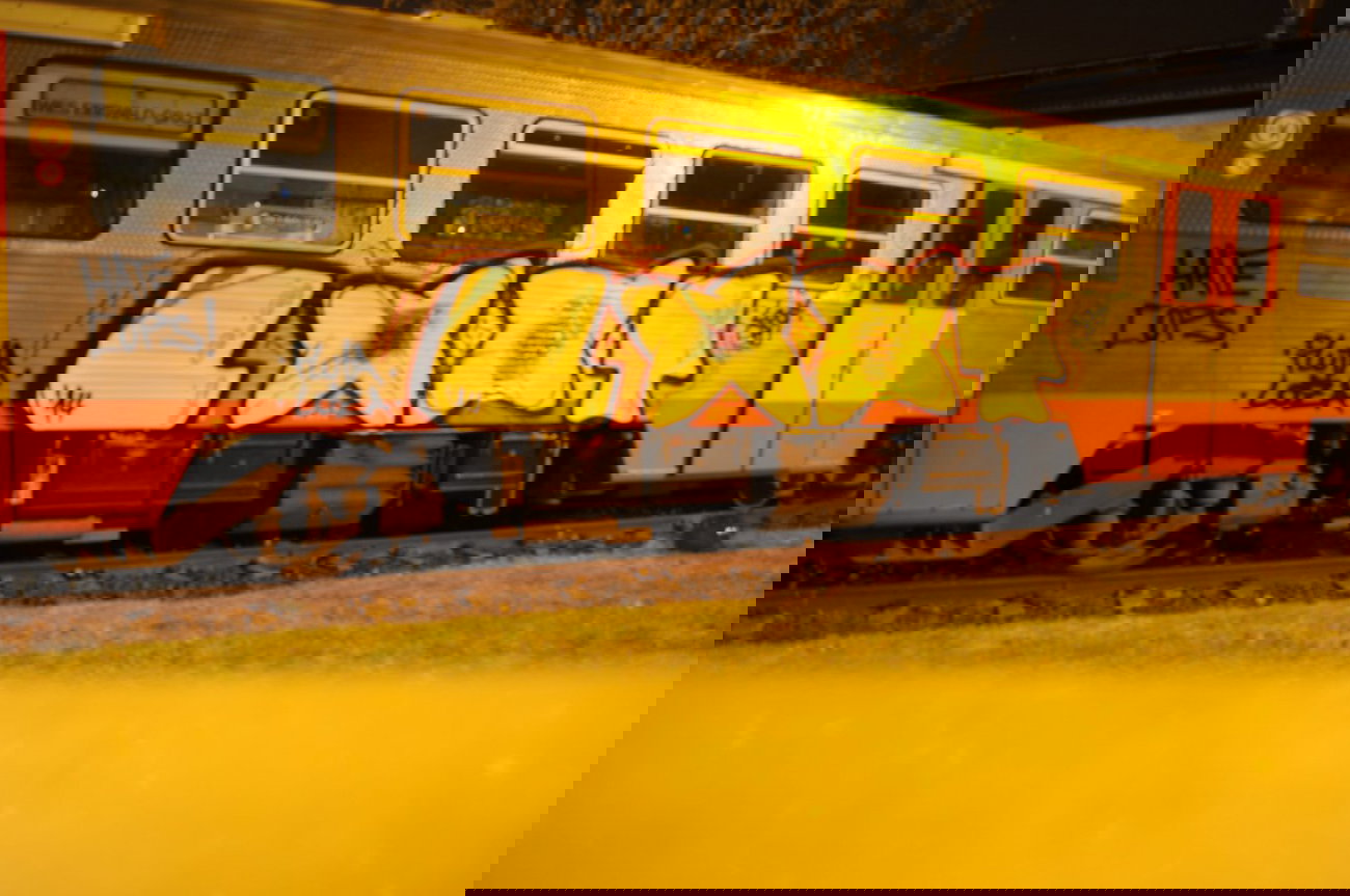 Graffiti Train - Photo by DieLootars - Loot, Fluter, Fluta (2014)