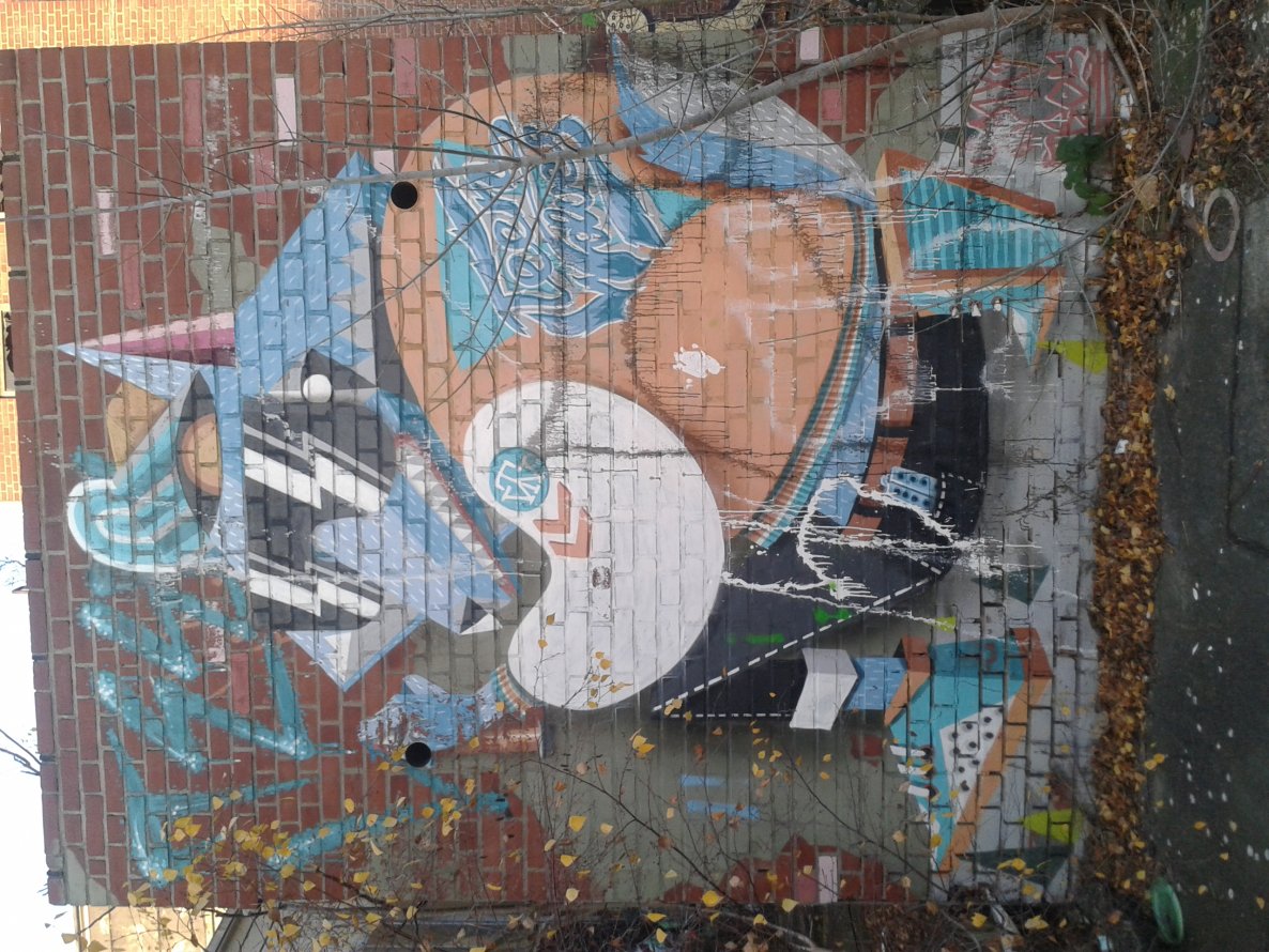 Graffiti Wall - Photo by Diggidi