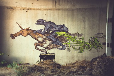 Graffiti Wall - Photo by DimaFlood - ????, ??????, otd (2014)