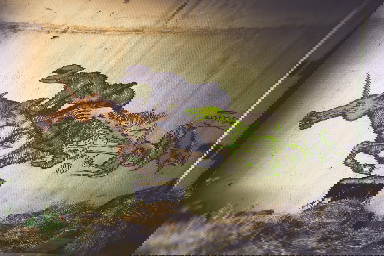 Graffiti Wall - Photo by DimaFlood - ????, ??????, otd (2014)