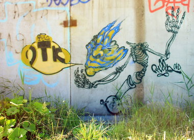 Graffiti Bombing in SPB - Photo by DimaFlood - flood, flud, fluder (2013)