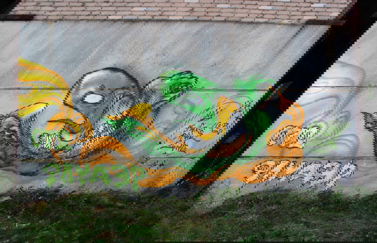 Graffiti Wall - Photo by DimaFlood - ????, ??????, otd (2013)