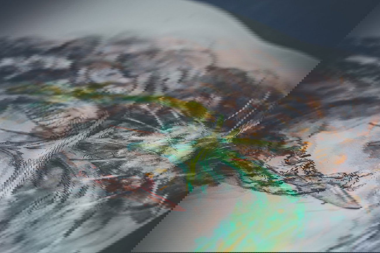 Graffiti Sketch - Photo by DimaFlood - ????, ??????, otd (2014)