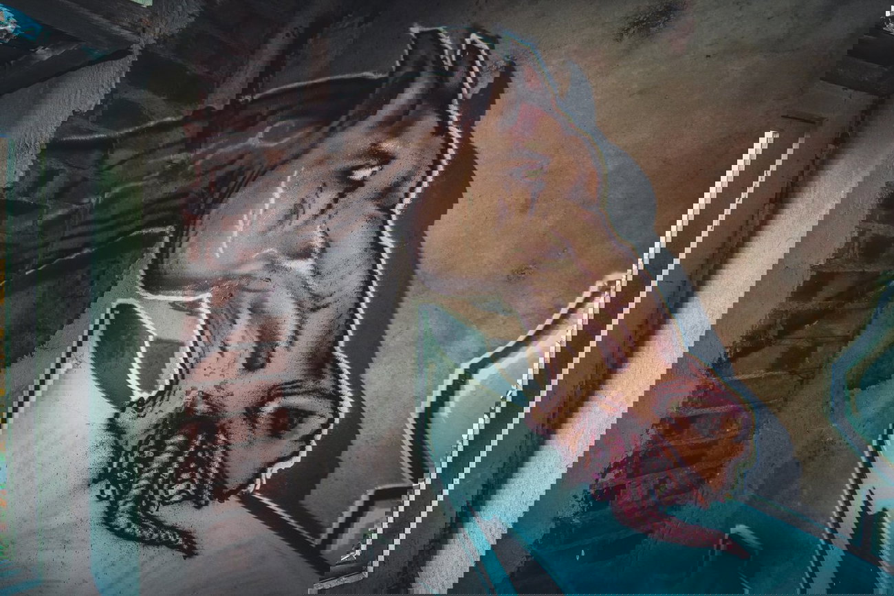 Graffiti Wall - Photo by DimaFlood - ????, ??????, otd (2014)