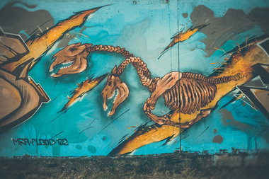 Graffiti Wall - Photo by DimaFlood - ????, ??????, otd (2014)