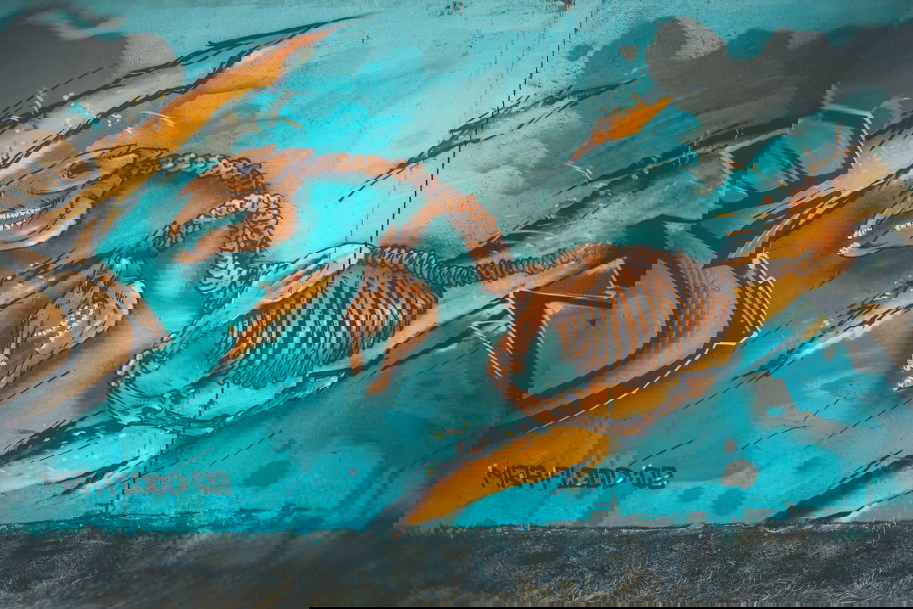 Graffiti Wall - Photo by DimaFlood - ????, ??????, otd (2014)