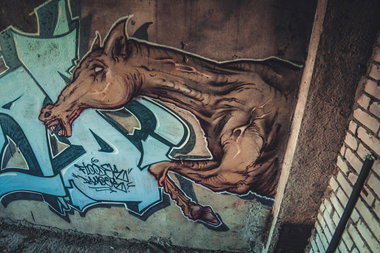 Graffiti Wall - Photo by DimaFlood - ????, ??????, otd (2014)