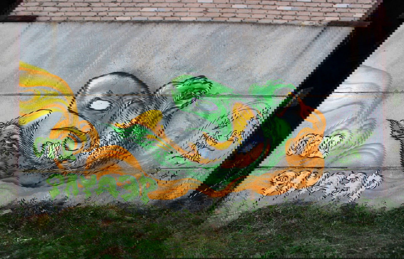 Graffiti Wall - Photo by DimaFlood - ????, ??????, otd (2013)