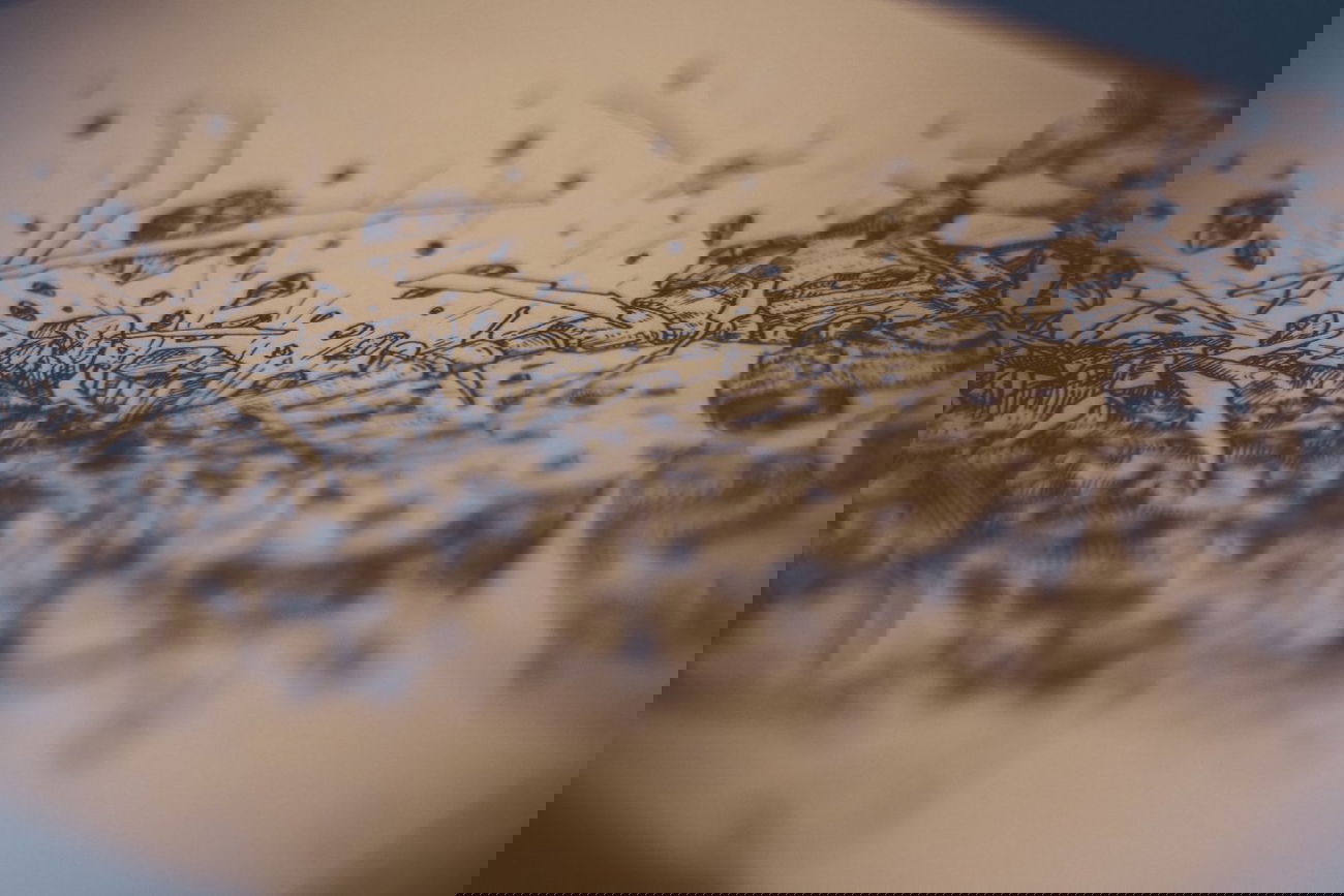 Graffiti Sketch - Photo by DimaFlood - ????, ??????, otd (2014)