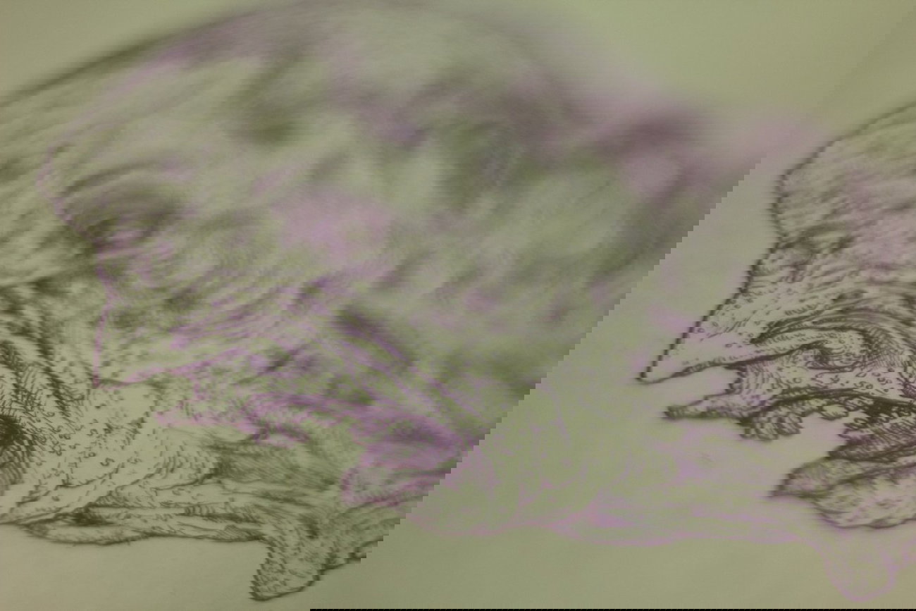 Graffiti Sketch - Photo by DimaFlood - ????, ??????, otd (2014)