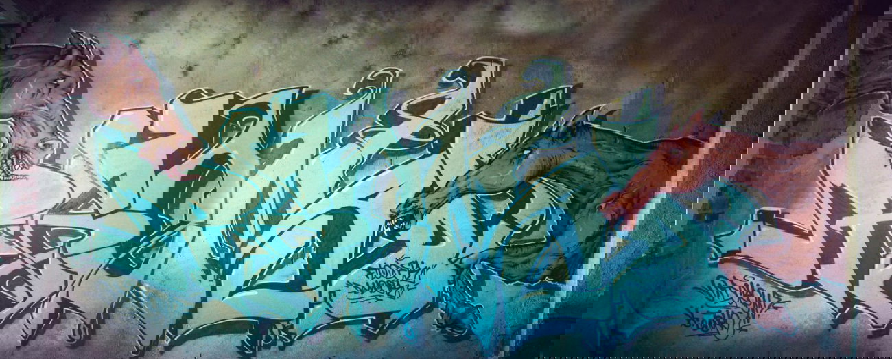 Graffiti Wall - Photo by DimaFlood - ????, ??????, otd (2014)