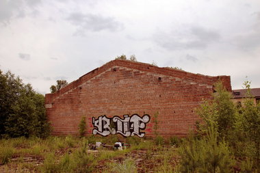 Graffiti Wall in Sosnoviy Bronx - Photo by Dirt - rof, dirt (2013)