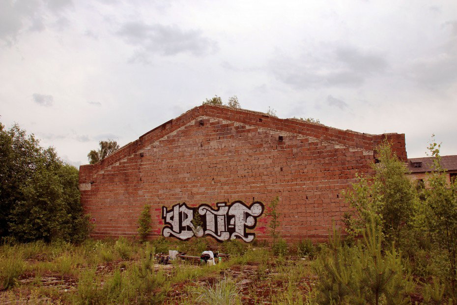 Graffiti Wall in Sosnoviy Bronx - Photo by Dirt - rof, dirt (2013)