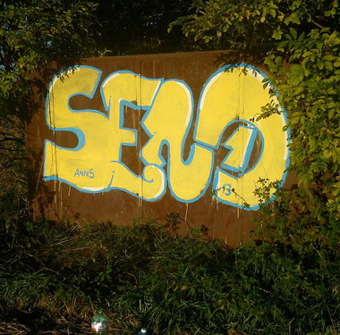 Graffiti Bombing - Photo by Dirty