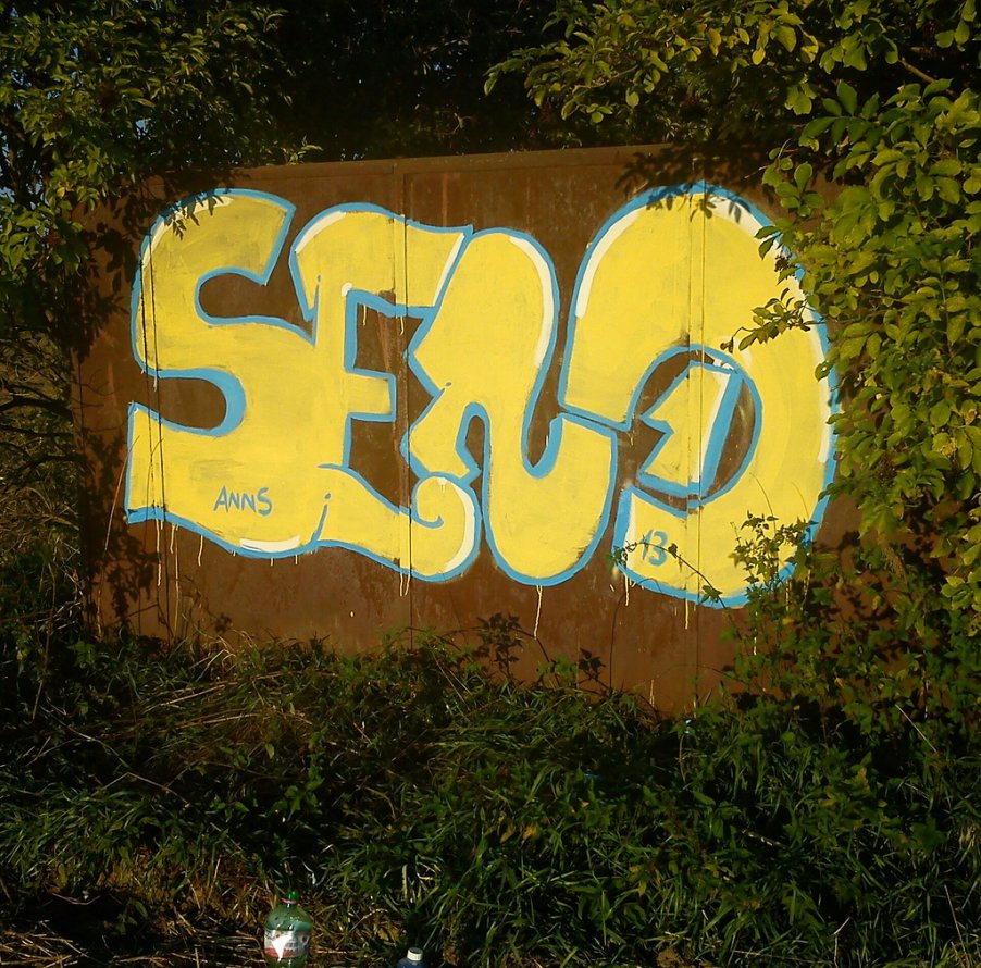 Graffiti Bombing - Photo by Dirty