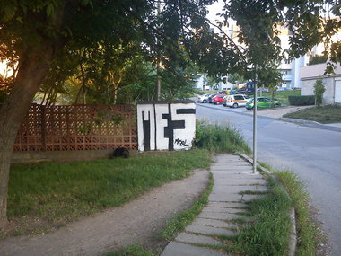 Graffiti Bombing - Photo by Dirty