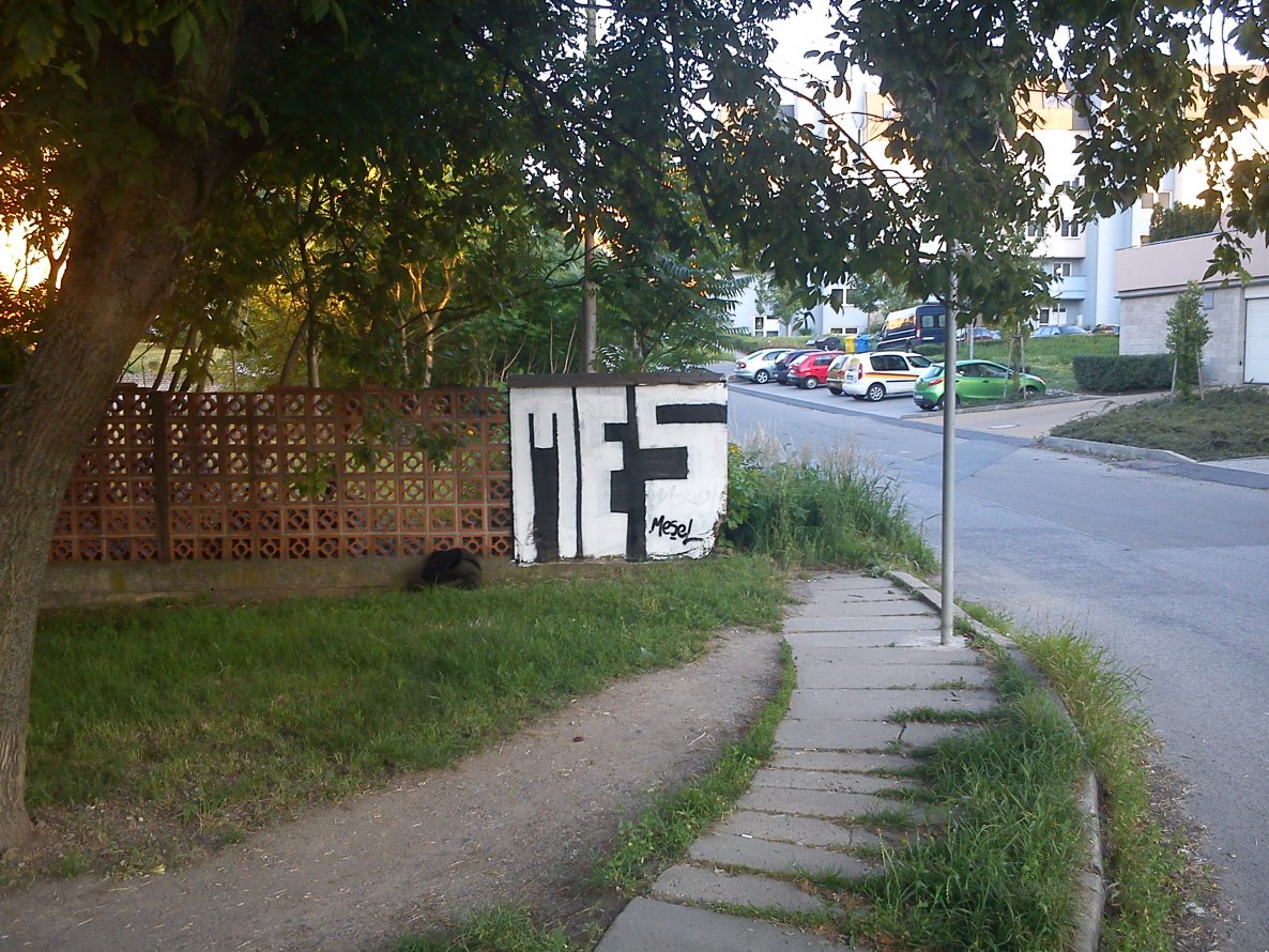 Graffiti Bombing - Photo by Dirty