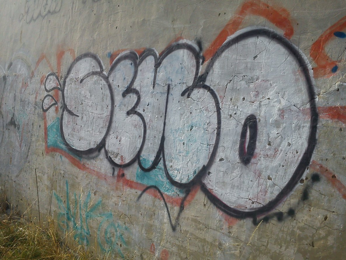 Graffiti Bombing - Photo by Dirty