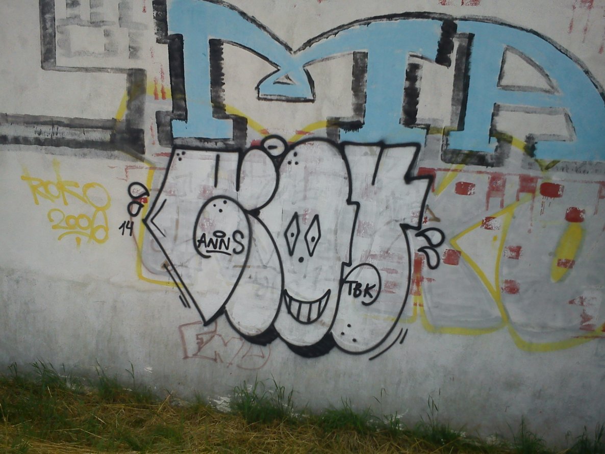 Graffiti Bombing - Photo by Dirty