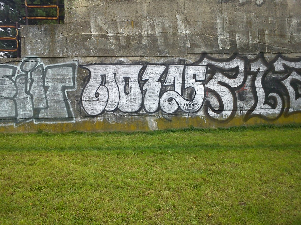 Graffiti Bombing - Photo by Dirty