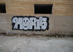 Photo #138952 by morelotr