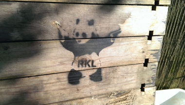 Graffiti Street Art in Erfurt - Photo by DirtyLinez - Nero, Dark, RKL (2013)