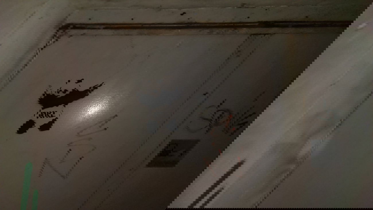 Graffiti Street Art in Erfurt - Photo by DirtyLinez - The, RKL, Panda! (2014)