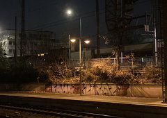 Graffiti Bombing in Solingen hbf - Photo by DisgoPolo - siras, fahl, cps (2024)
