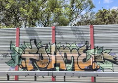 Graffiti Bombing - Photo by DisgoPolo - foame, imb (2020)