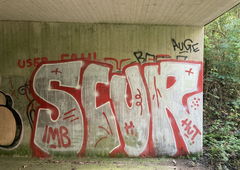 Graffiti Bombing in Solingen - Photo by DisgoPolo - scur, imb, solingen