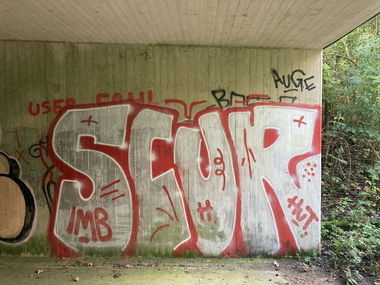 Graffiti Bombing in Solingen - Photo by DisgoPolo - scur, imb, solingen